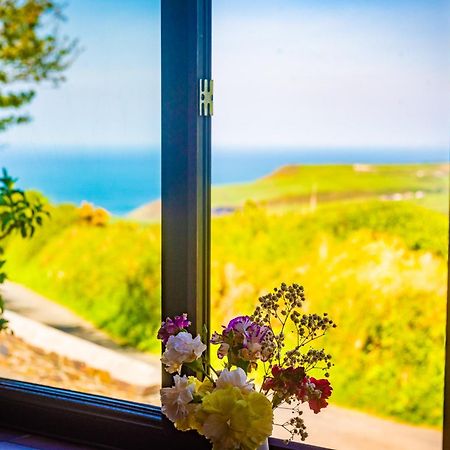 Polrunny Farm Elderberry Cottage With Sea View Boscastle Εξωτερικό φωτογραφία