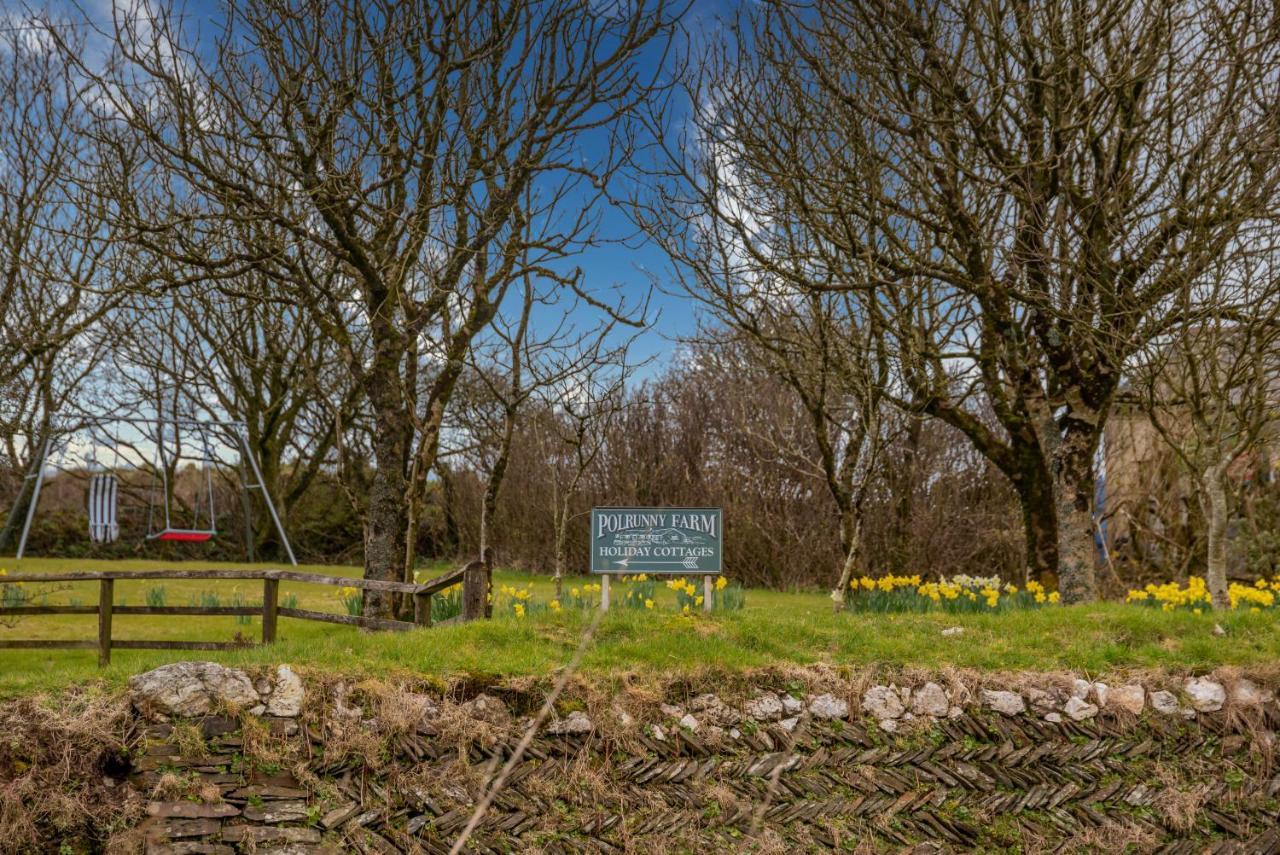 Polrunny Farm Elderberry Cottage With Sea View Boscastle Εξωτερικό φωτογραφία