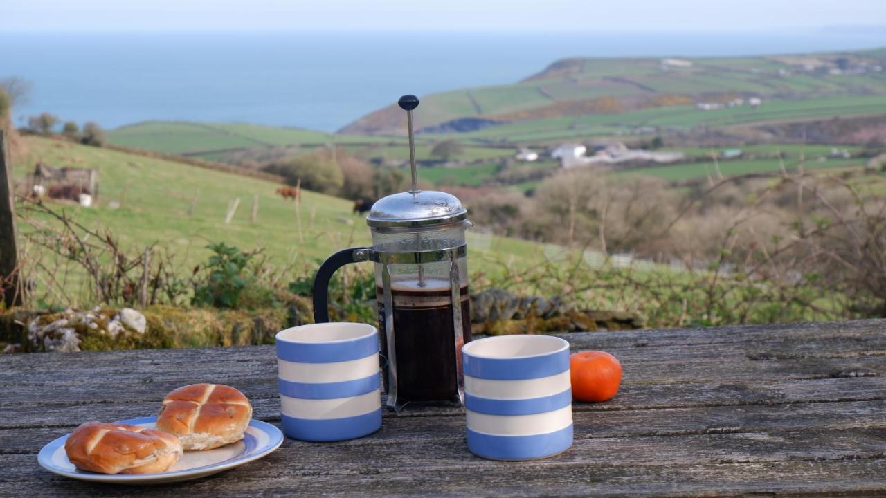 Polrunny Farm Elderberry Cottage With Sea View Boscastle Εξωτερικό φωτογραφία