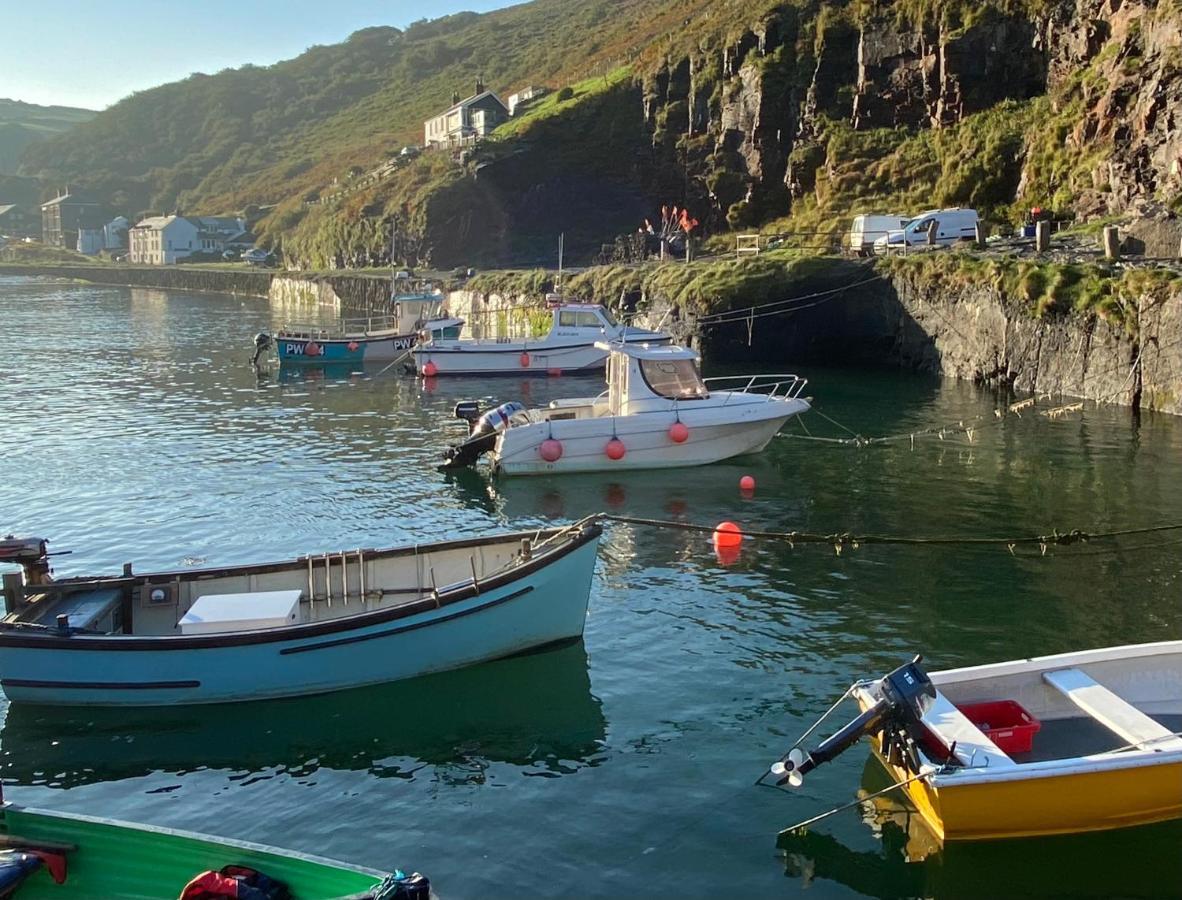 Polrunny Farm Elderberry Cottage With Sea View Boscastle Εξωτερικό φωτογραφία