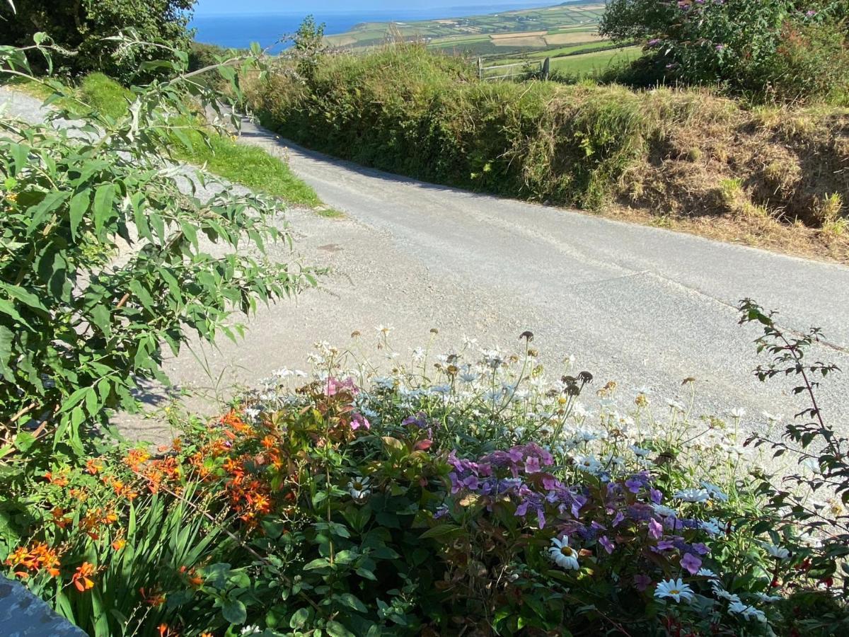 Polrunny Farm Elderberry Cottage With Sea View Boscastle Εξωτερικό φωτογραφία