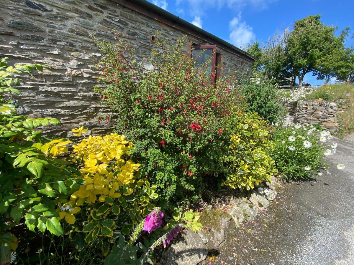 Polrunny Farm Elderberry Cottage With Sea View Boscastle Εξωτερικό φωτογραφία