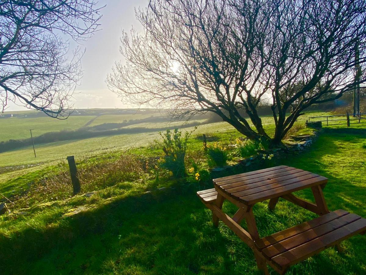 Polrunny Farm Elderberry Cottage With Sea View Boscastle Εξωτερικό φωτογραφία
