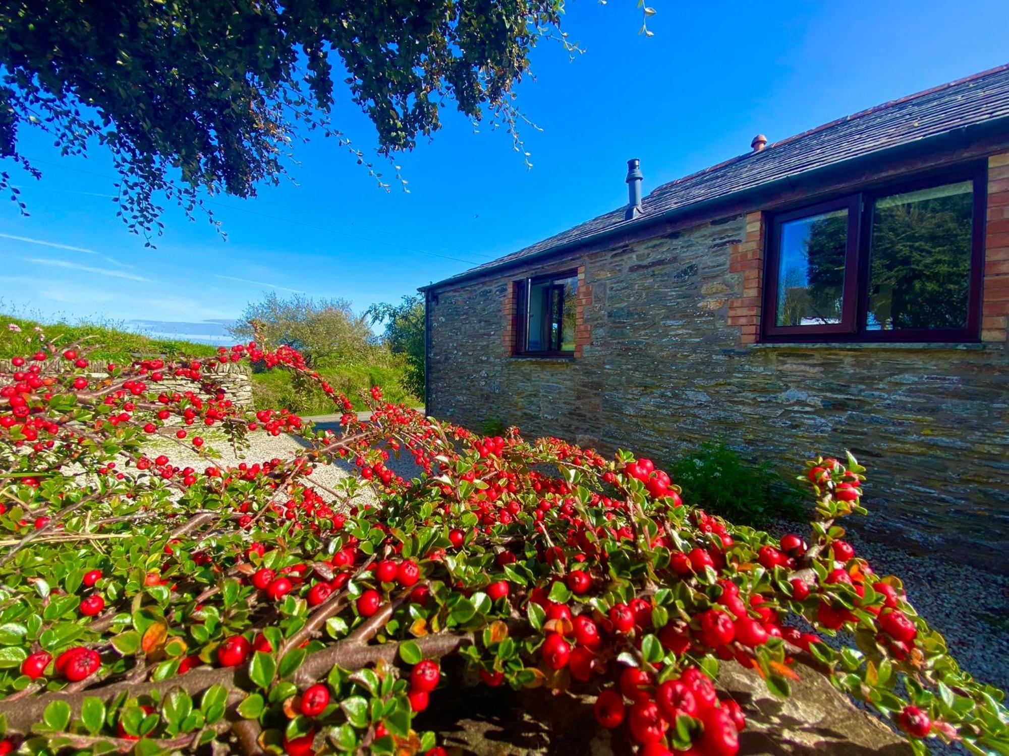 Polrunny Farm Elderberry Cottage With Sea View Boscastle Εξωτερικό φωτογραφία