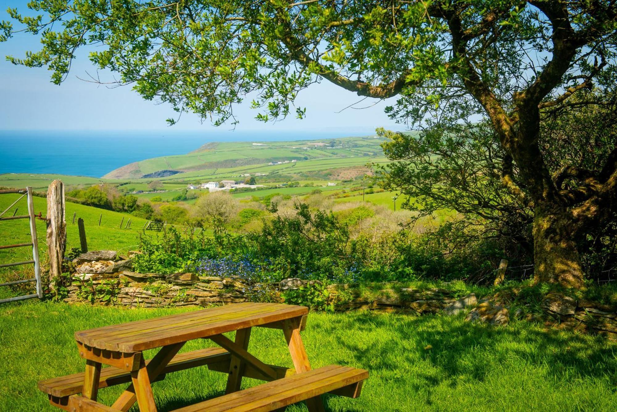Polrunny Farm Elderberry Cottage With Sea View Boscastle Εξωτερικό φωτογραφία